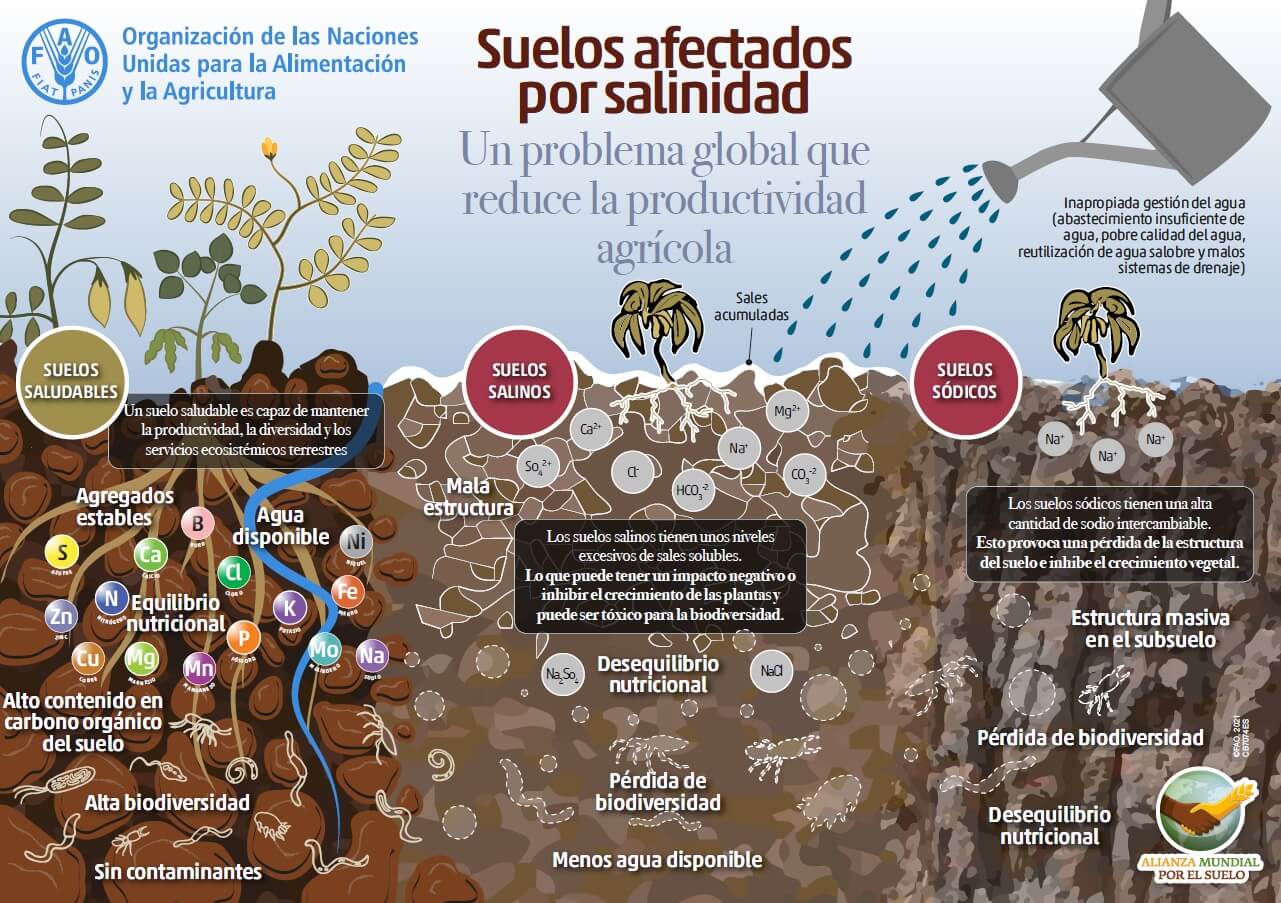 Descalcificador sin sal Agua Viva Genesis suelos salinos